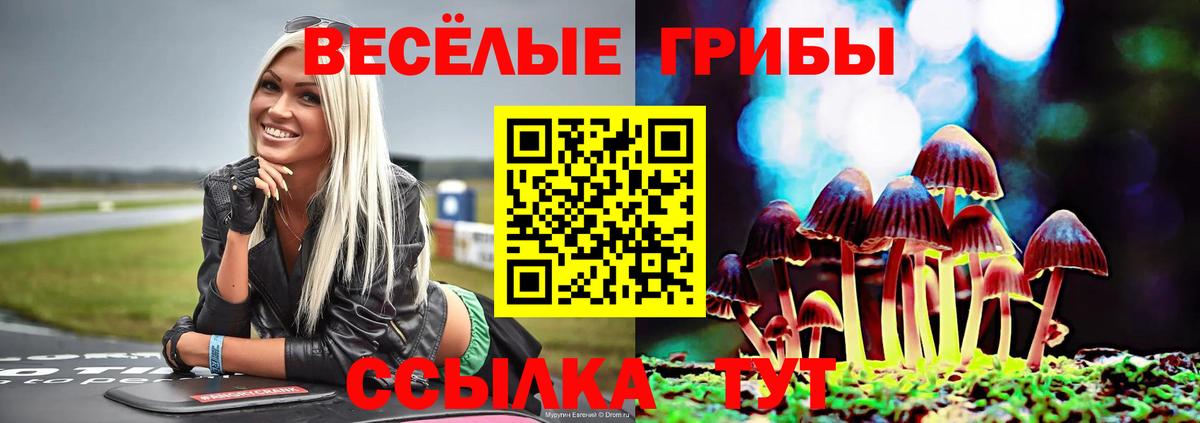 Галлюциногенные грибы GOLDEN TEACHER Аксай